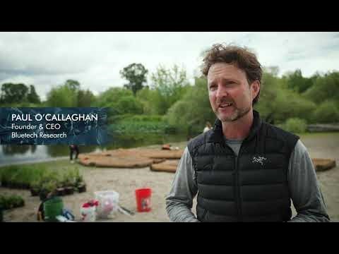 BlueTech_Research_Restoration_Project