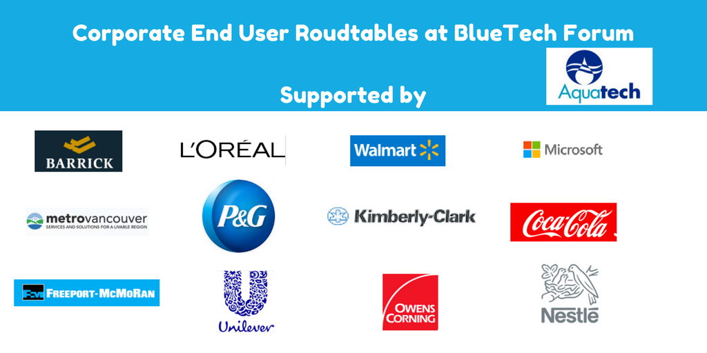 Corporate End User Roudtables at BlueTech Forum-3