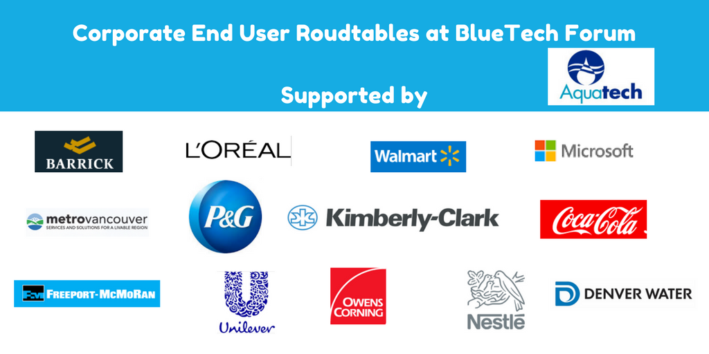 Corporate End User Roudtables at BlueTech Forum-5