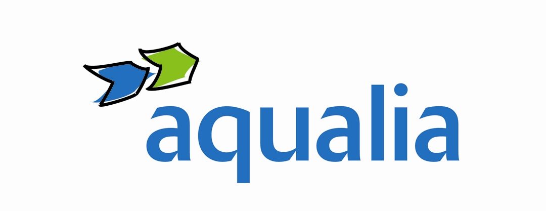 logo_color